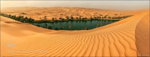 Oasis in the Sahara